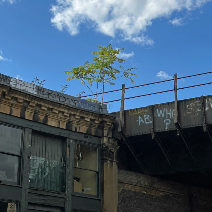 Tree, rail bridge & roof, SE1
